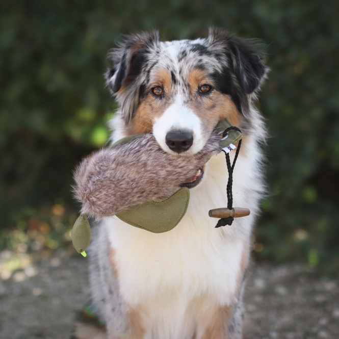 PROCYON Duck Dummy mit Kunstfell – Bild 4