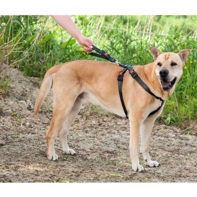 Karlie Flamingo Auto-Sicherheitsgeschirr Kunstleder - XS – Bild 2