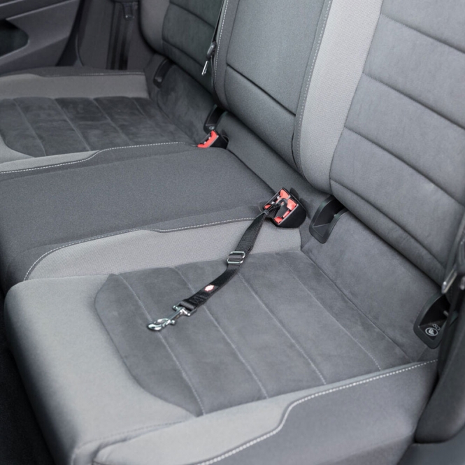 Trixie Ersatz-Kurzführer für Gurtschloss - 45–70 cm/25 mm – Bild 5