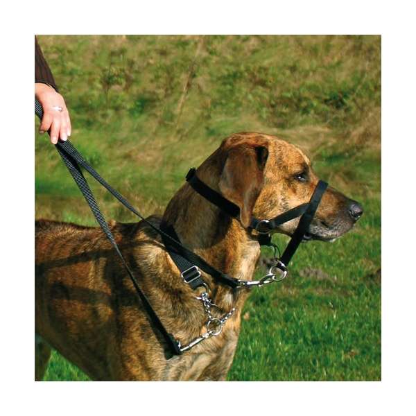 Trixie Top Trainer Ausbildungsgeschirr - max. 46 cm – Bild 2