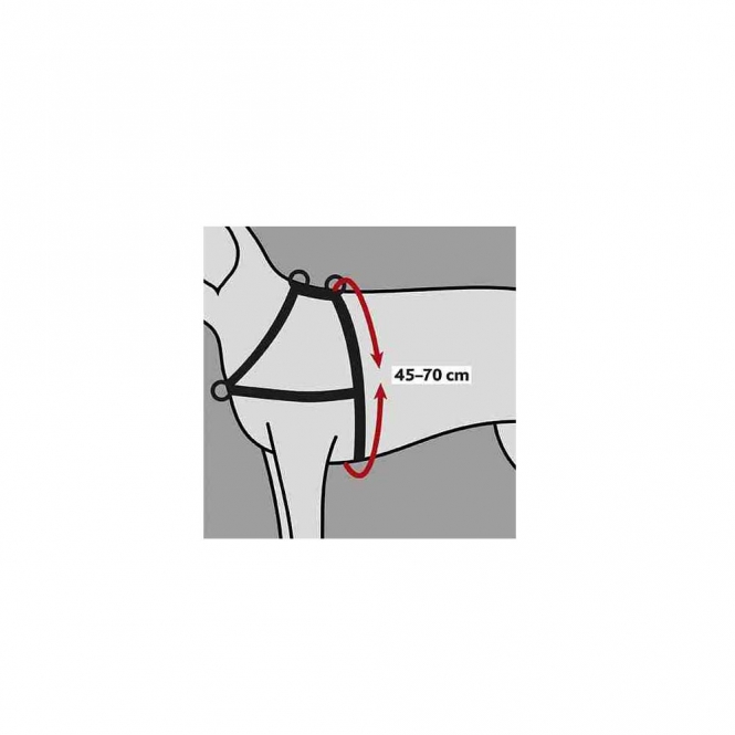 Trixie Trainingsgeschirr Lead'n'Walk Soft - S-M – Bild 4