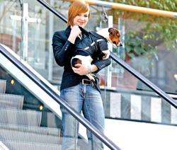 Karlie PICK UP Hundemantel - Rot - 25 cm – Bild 3