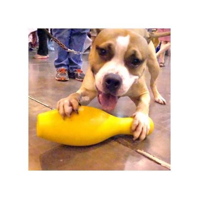 Tuggo Shake N Fetch - Medium - von Tigern getestet! - Rot – Bild 4