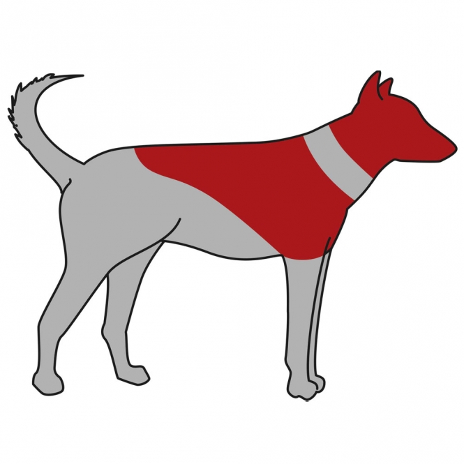 Alternative view of Trixie Schutzkragen, aufblasbar - XS