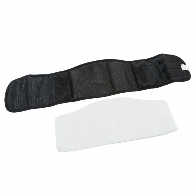 Trixie Windeln für Rüden, waschbar - S-M / 37-45 cm – Bild 3