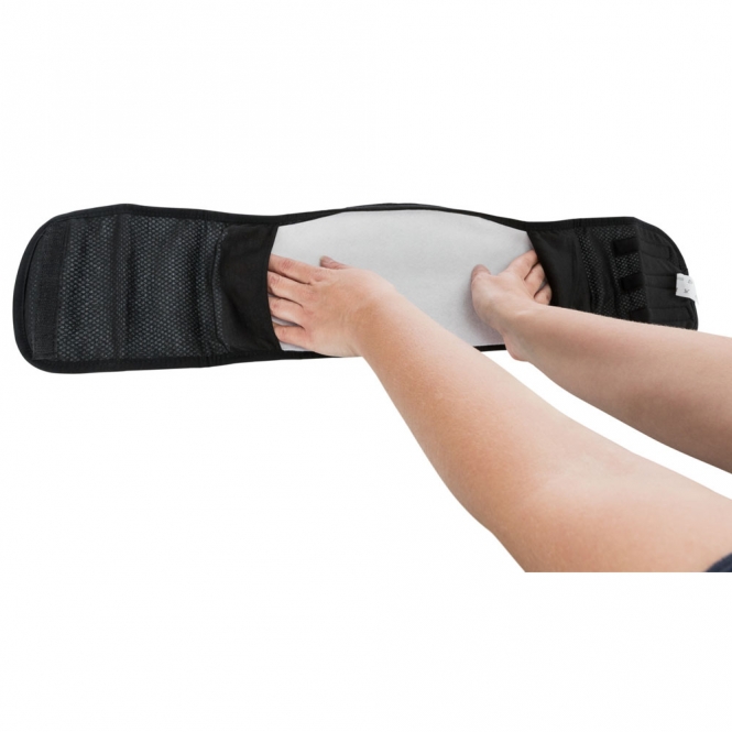 Trixie Windeln für Rüden, waschbar - S-M / 37-45 cm – Bild 5