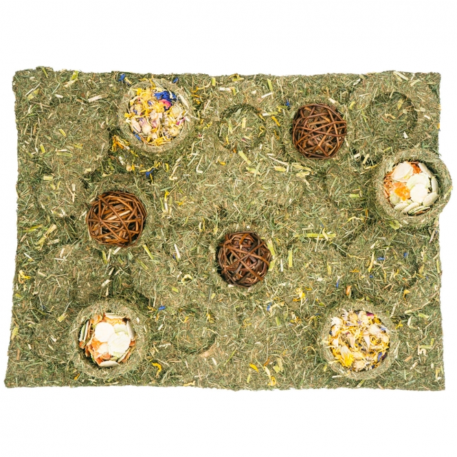 JR FARM Back to Instinct XXL Fun-Park – Bild 4