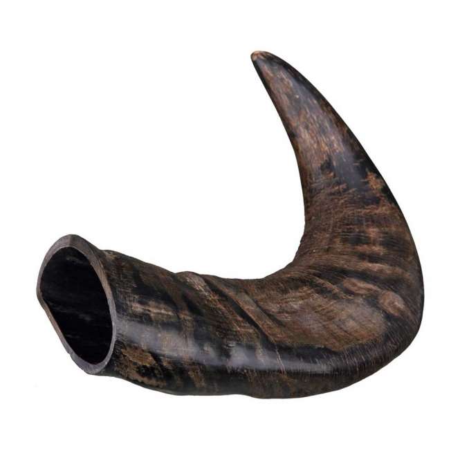 Alternative view of Trixie Büffel-Kauhorn - Groß