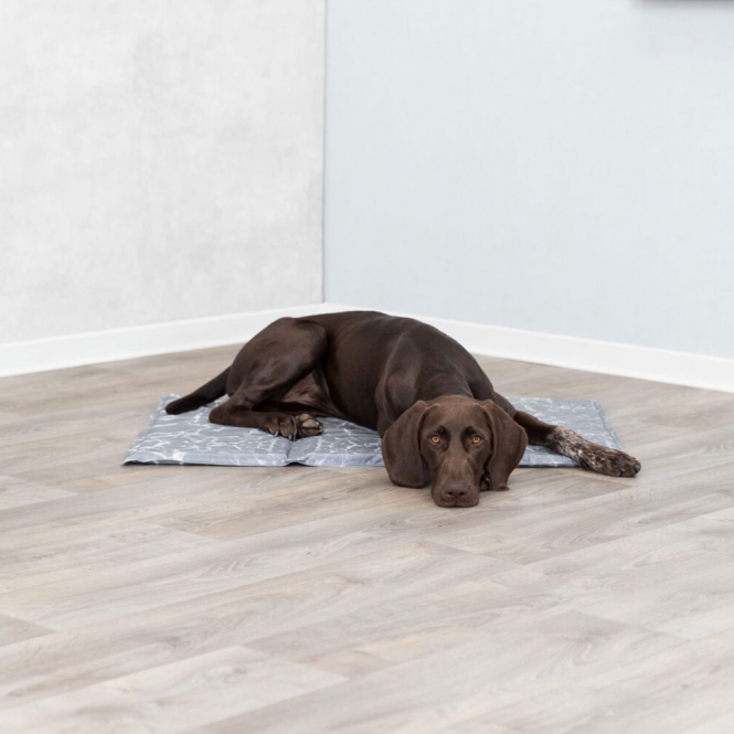 Trixie Kühlmatte Soft - 110 × 70 cm – Bild 3