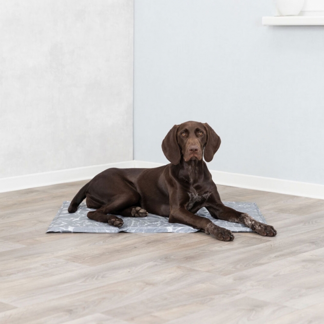 Trixie Kühlmatte Soft - 110 × 70 cm – Bild 4