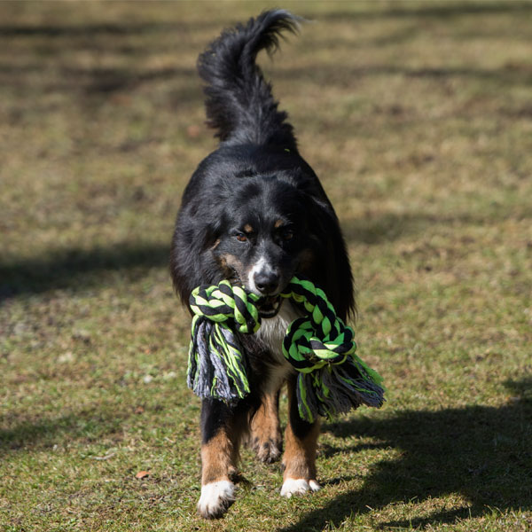 Alternative view of PROCYON XXL-Kauseil - 2 Knoten / 50 cm