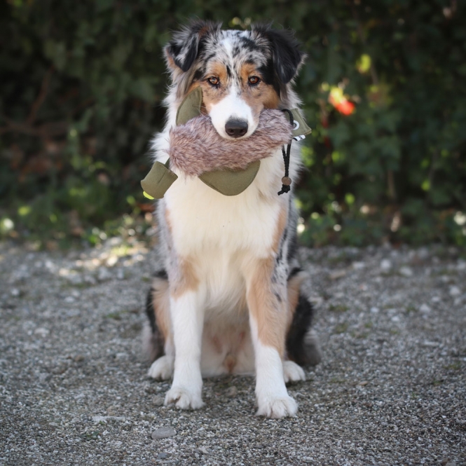 PROCYON Duck Dummy mit Kunstfell – Bild 6