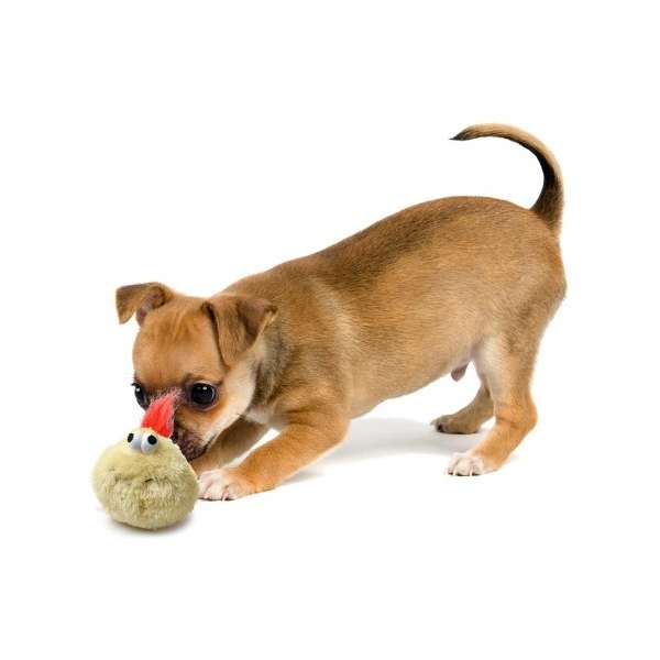 D&D Adventure Crazy Bouncer – Bild 2