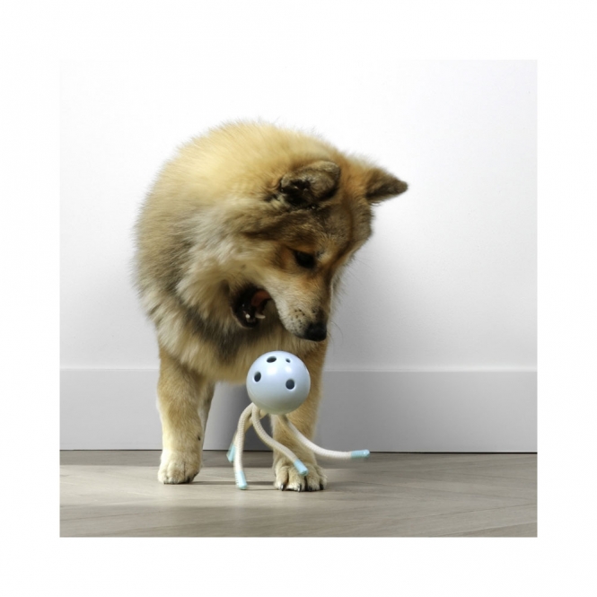 EBI Petit Welpen-Kauspielzeug Milo - Blau – Bild 3