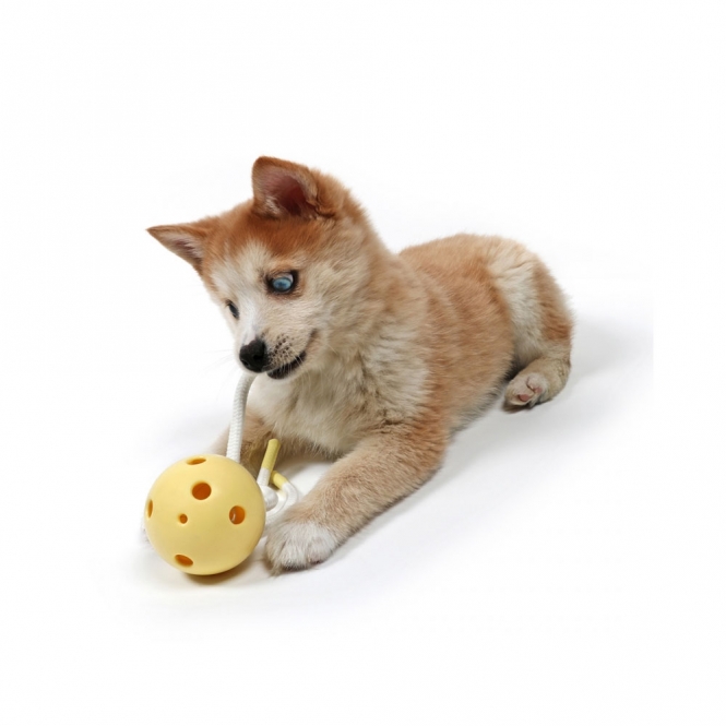 EBI Petit Welpen-Kauspielzeug Milo - Gelb – Bild 3