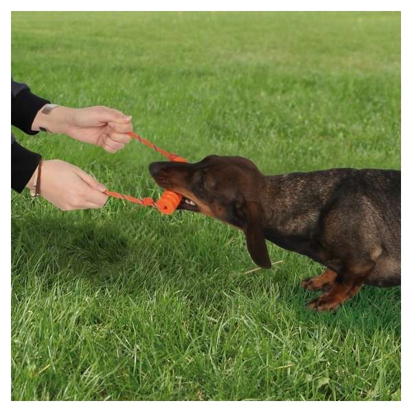 Trixie Ekard Lind Long-Mot mini - 10 cm – Bild 2