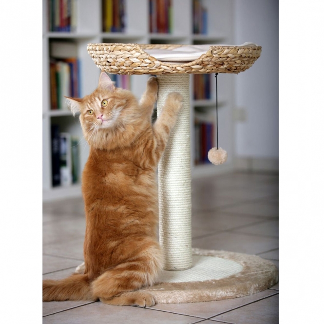 Karlie Deluxe Kratzbaum BANANA LEAF 1 – Bild 2