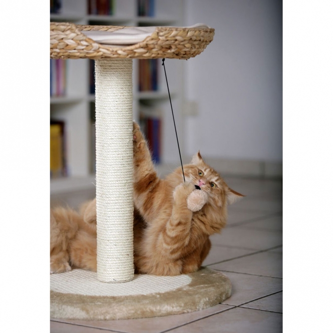 Karlie Deluxe Kratzbaum BANANA LEAF 1 – Bild 3