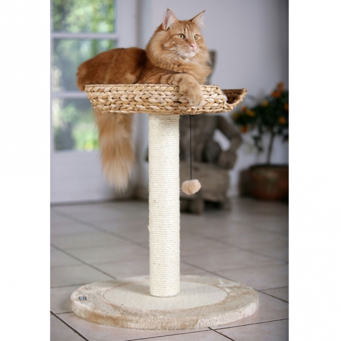 Karlie Deluxe Kratzbaum BANANA LEAF 1 – Bild 4