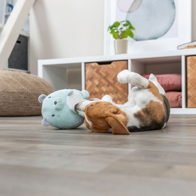 Trixie Junior Plüschtier Bär - geräuschlos – Bild 4