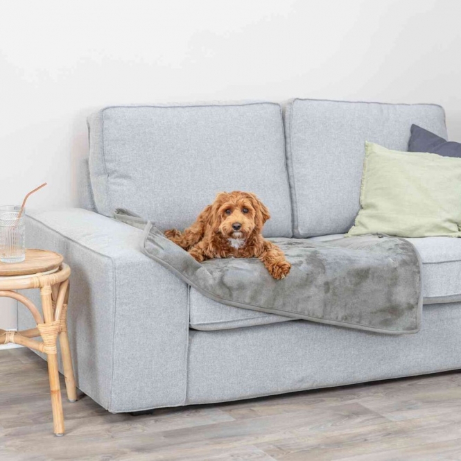 Trixie beschichtete Decke Levy - 140 × 90 cm – Bild 5