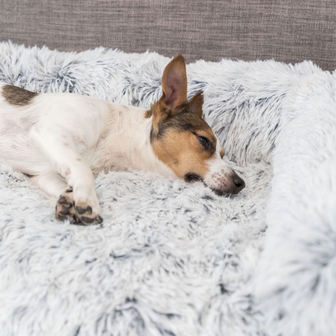 Trixie Polster-Schondecke Harvey - 70 x 90 cm – Bild 4