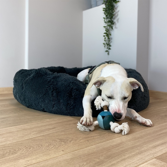 D&D Hundespielzeug Levi - lagoon – Bild 4