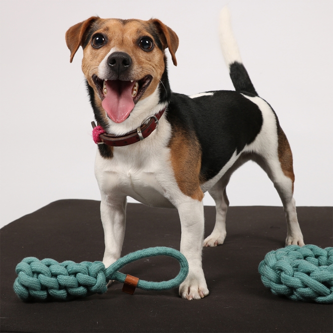 Alternative view of D&D Baumwollkegel Kurt - blau - 22 x 5cm