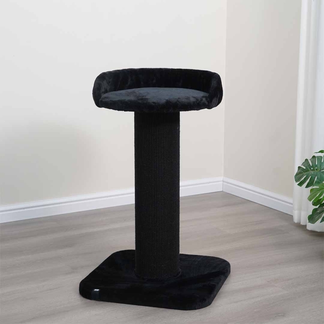 Alternative view of EBI Kratzbaum Sydney - schwarz