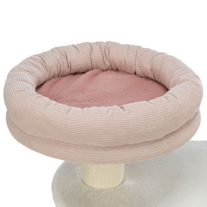 Trixie Kratzbaum Isabella – Bild 3