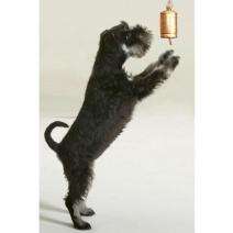 Karlie BELLO BELL - 2 Glocken mit Anleitung – Bild 2