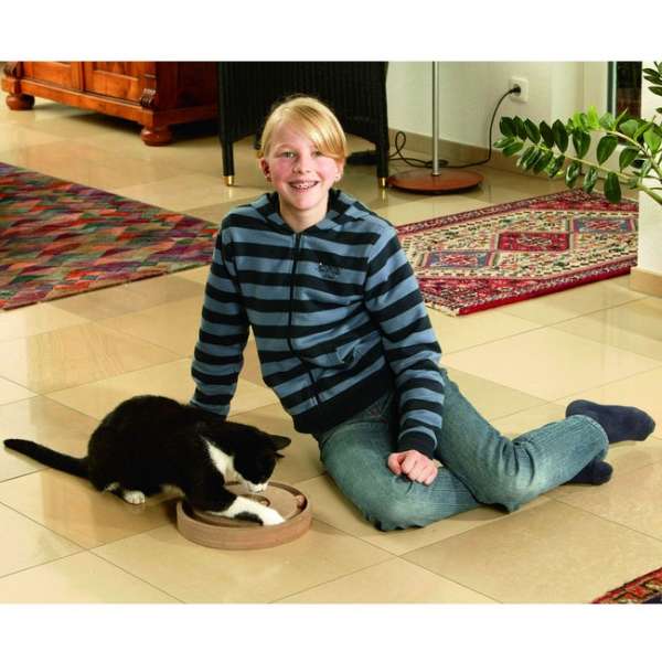 Karlie Kitty Brain Train - 2 in 1 – Bild 2