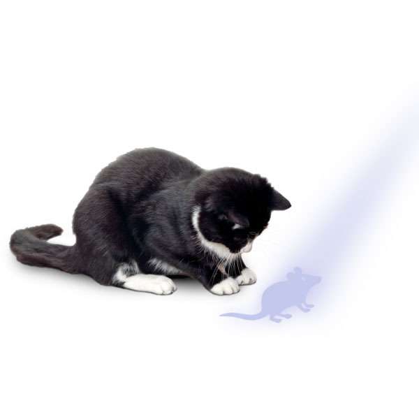 Alternative view of Karlie Flamingo LED Pointer