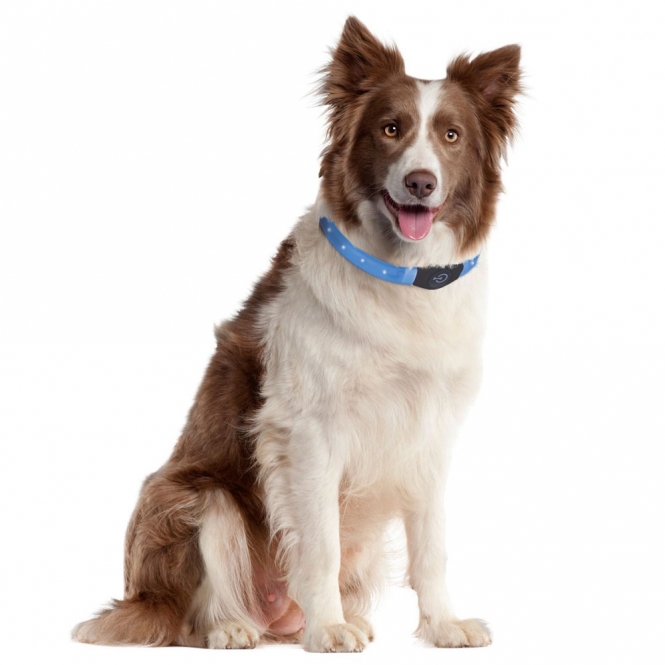 Alternative view of Karlie Flamingo Visio Light Langhaar LED-Leuchtschlauch - Blau