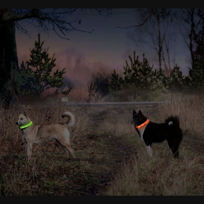 Karlie Flamingo Visio Light Langhaar LED-Leuchtschlauch - Gelb – Bild 4