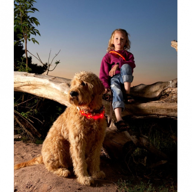 Karlie Visio Light LED-Leuchtschlauch mit USB - Gestreift - rot-weiß – Bild 4