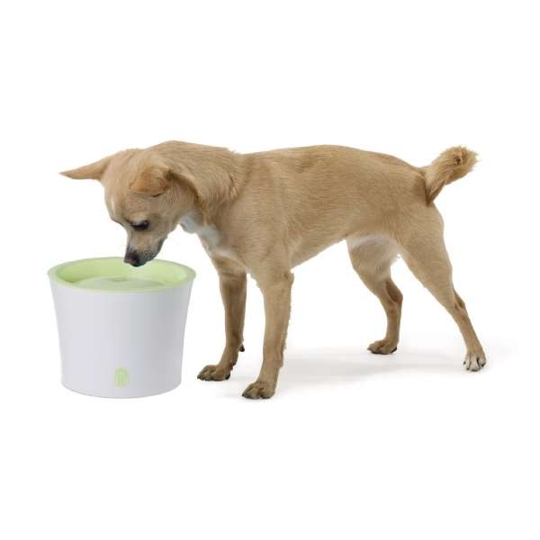 CATIT Fresh & Clear Trinkbrunnen Aktionsset – Bild 3