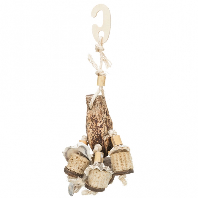 Trixie Naturspielzeug mit Mahagonischote – Bild 4