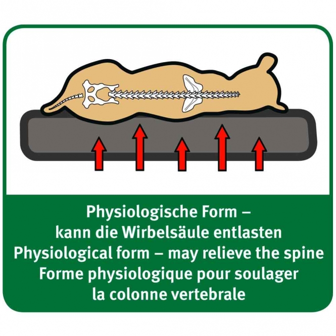Karlie Orthomatte - 60 x 40 cm – Bild 4