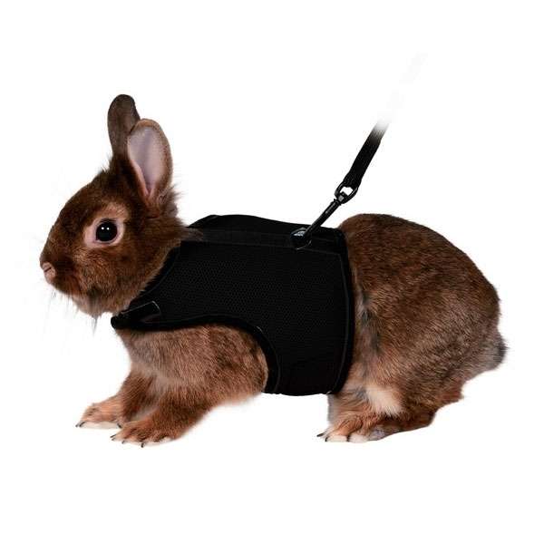 Alternative view of Trixie Softgeschirr für Kaninchen