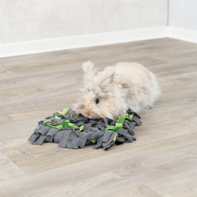 Trixie Schnüffelteppich für Kleintiere – Bild 2