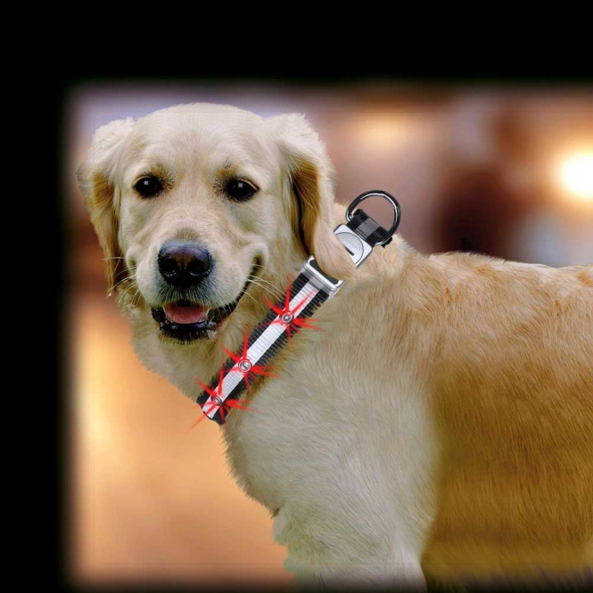 Karlie LED Halsband - 45-65 cm – Bild 2