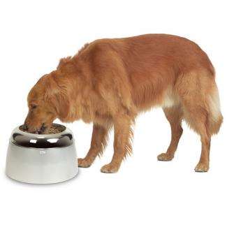 DOGIT Erhöhter Futternapf für große Hunde – Bild 2