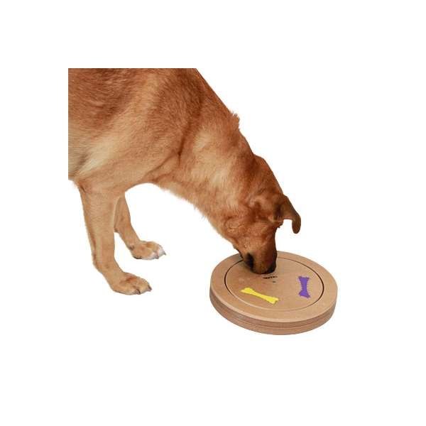 Alternative view of Kerbl Denk- & Lernspiel Duo