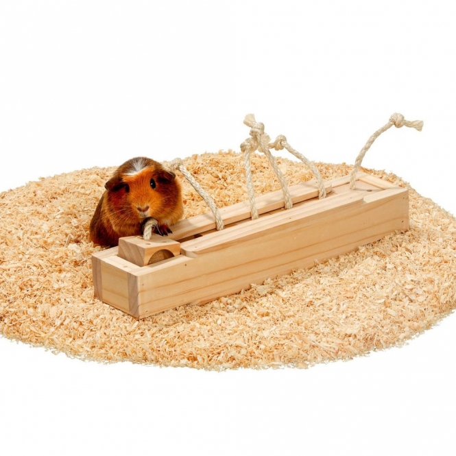 Karlie Rody Brain Train Kasten mit 6 Klötzen – Bild 4