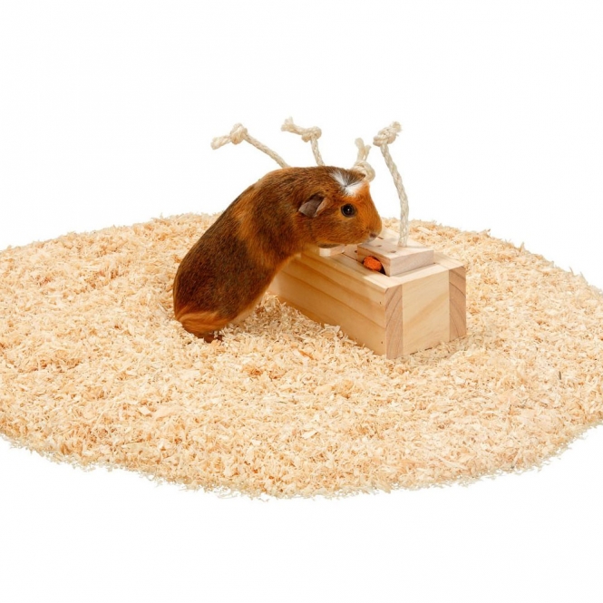 Alternative view of Karlie Rody Brain Train Cube mit 4 Klötzen