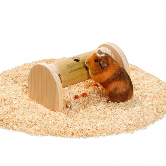 Karlie Rody Brain Train Roll – Bild 2