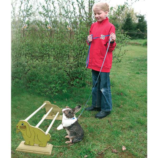 Karlie Flamingo Bunny Sports Hindernis Hopp 1 – Bild 2