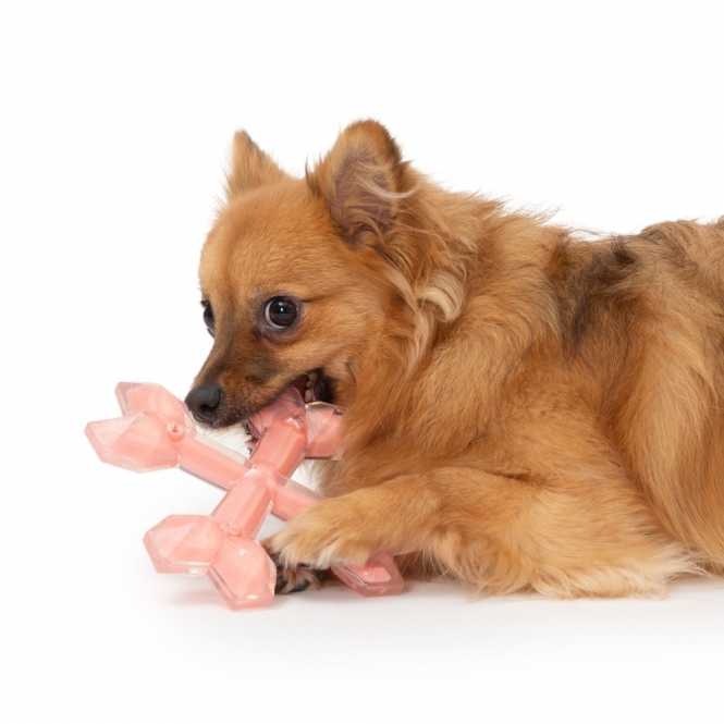 Zeus Duo Gekreuzte Knochen mit Hühnchenduft – Bild 5