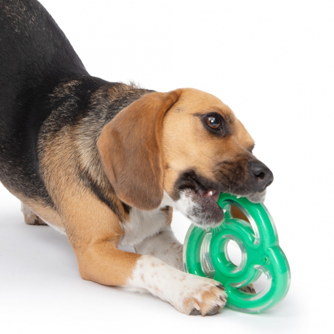 Zeus Duo Ninja-Stern mit Minzduft – Bild 5